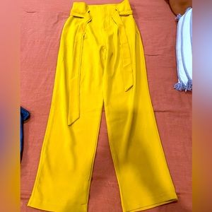 Dressy pants
